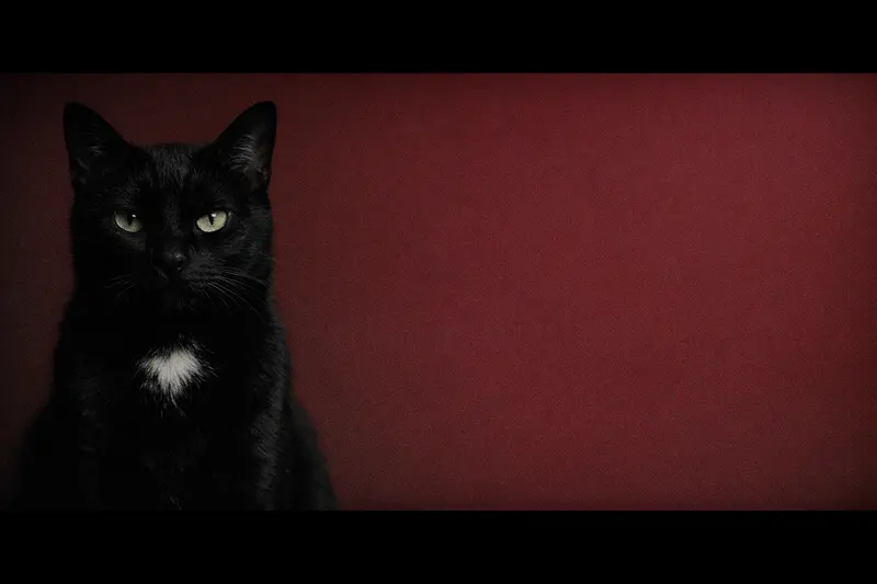 Arthouse Quiet
