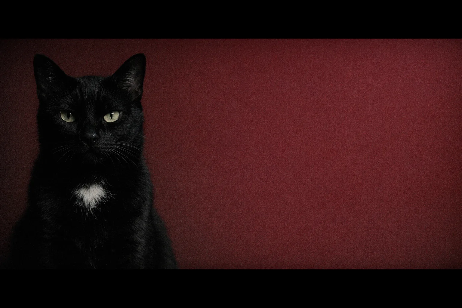 Nadia rendered as a Arthouse Quiet film still: They are the face on the festival poster